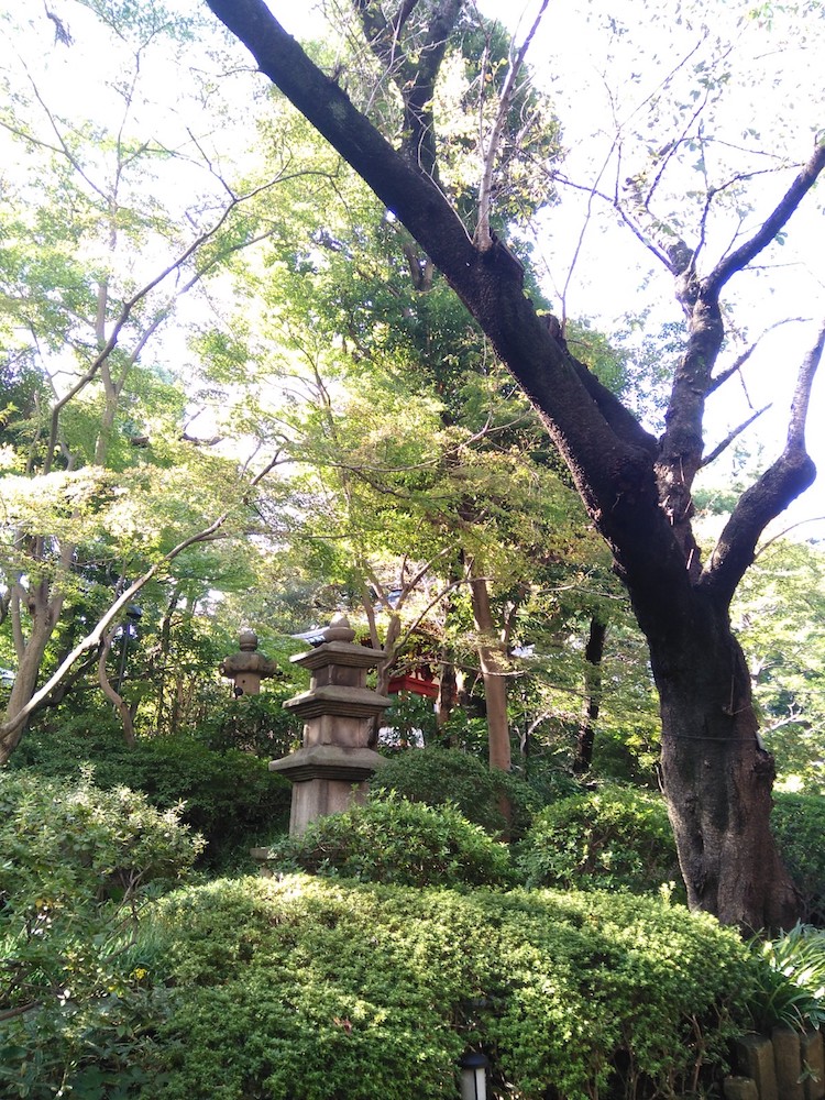 日本庭園　お堂