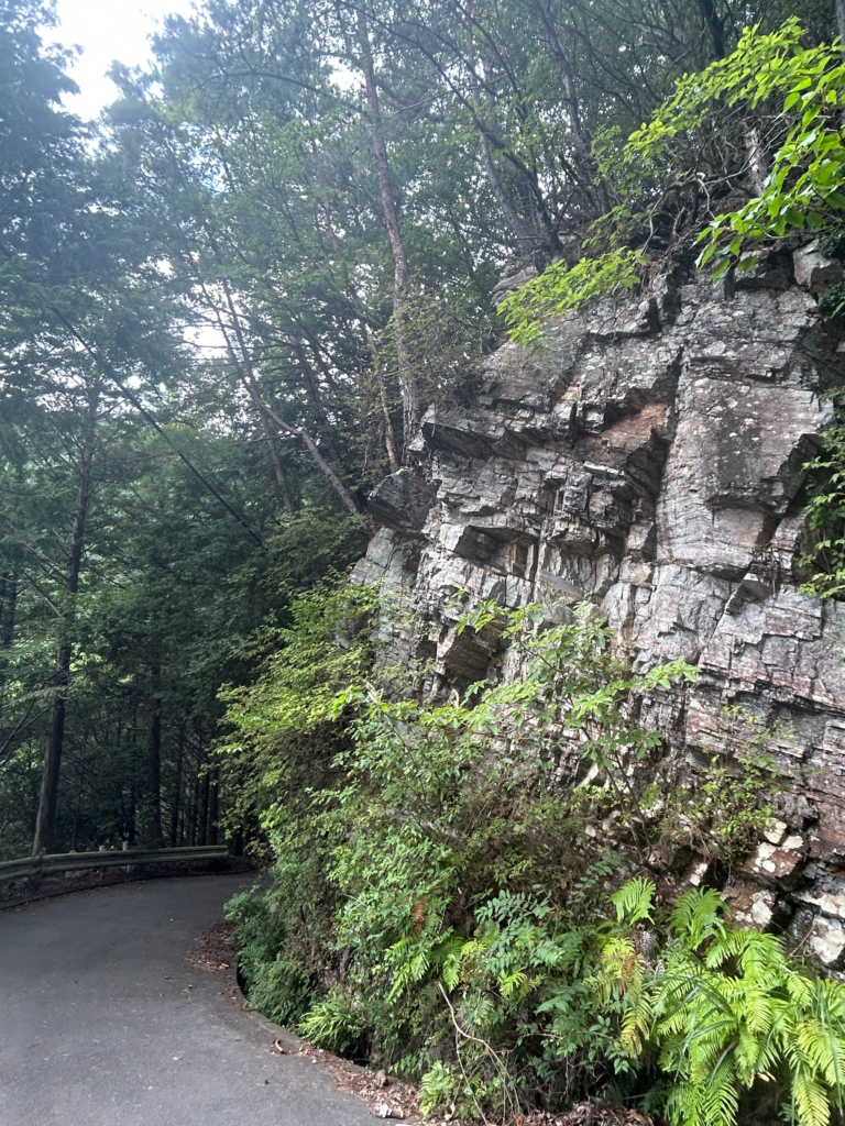 本宮山の岩肌