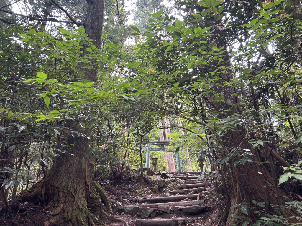 本宮山登山道に聳え立つ青銅色の鳥居