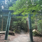 本宮山第一神域の堺の青銅色の鳥居